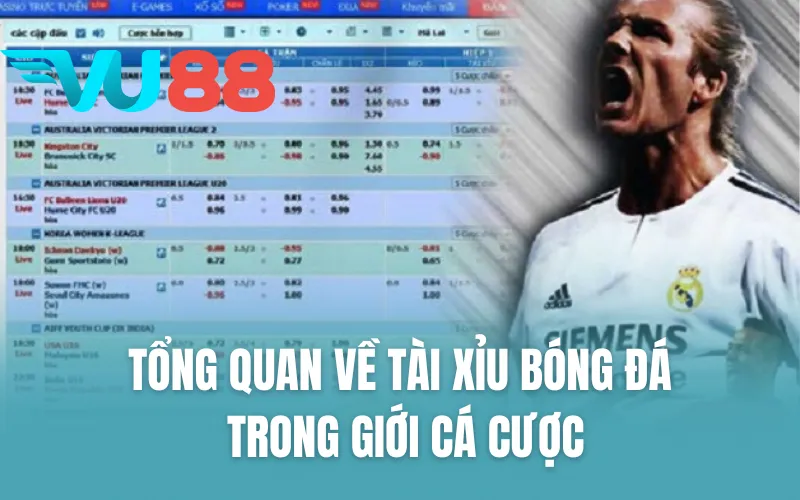 Tổng quan về tài xỉu bóng đá trong giới cá cược